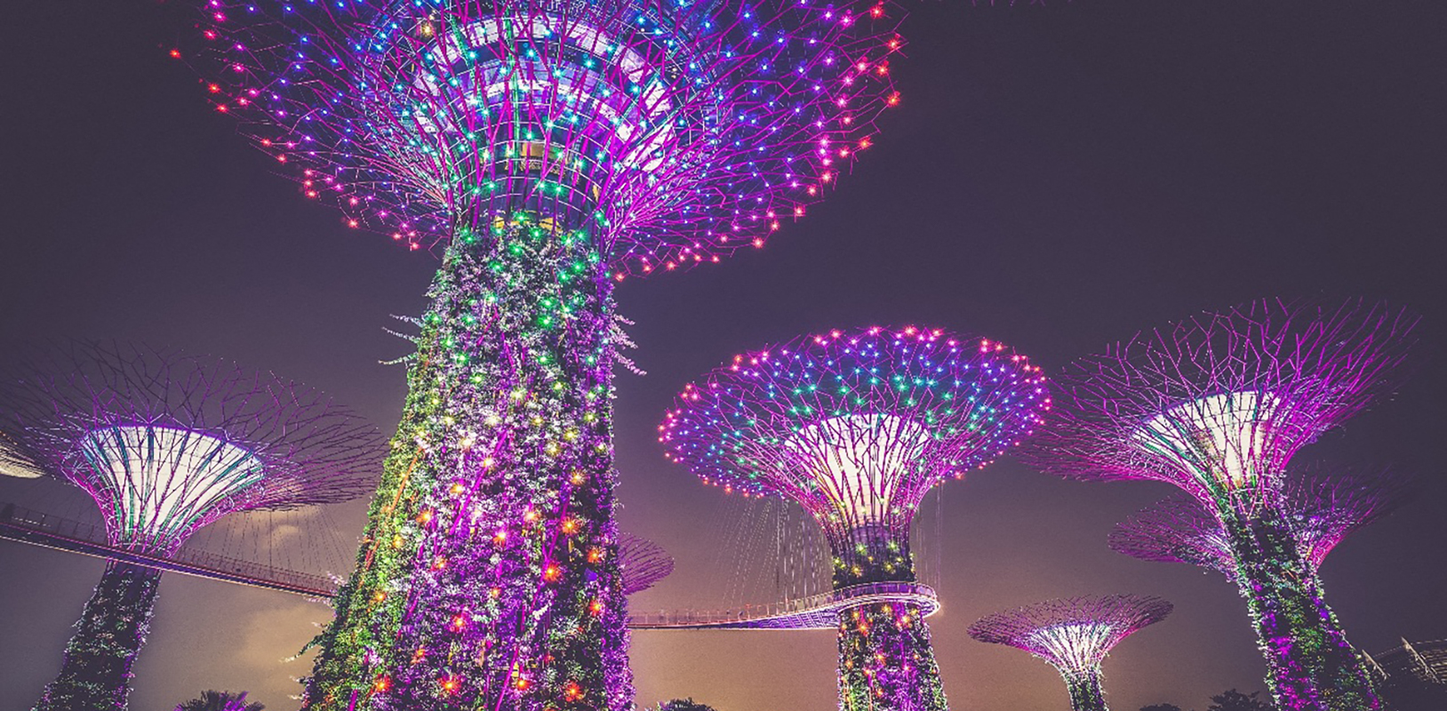 Gardens By The Bay